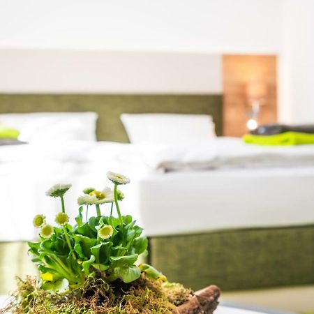 Hotel-Pension Treppengasse Nr 6 Altenburg Zewnętrze zdjęcie